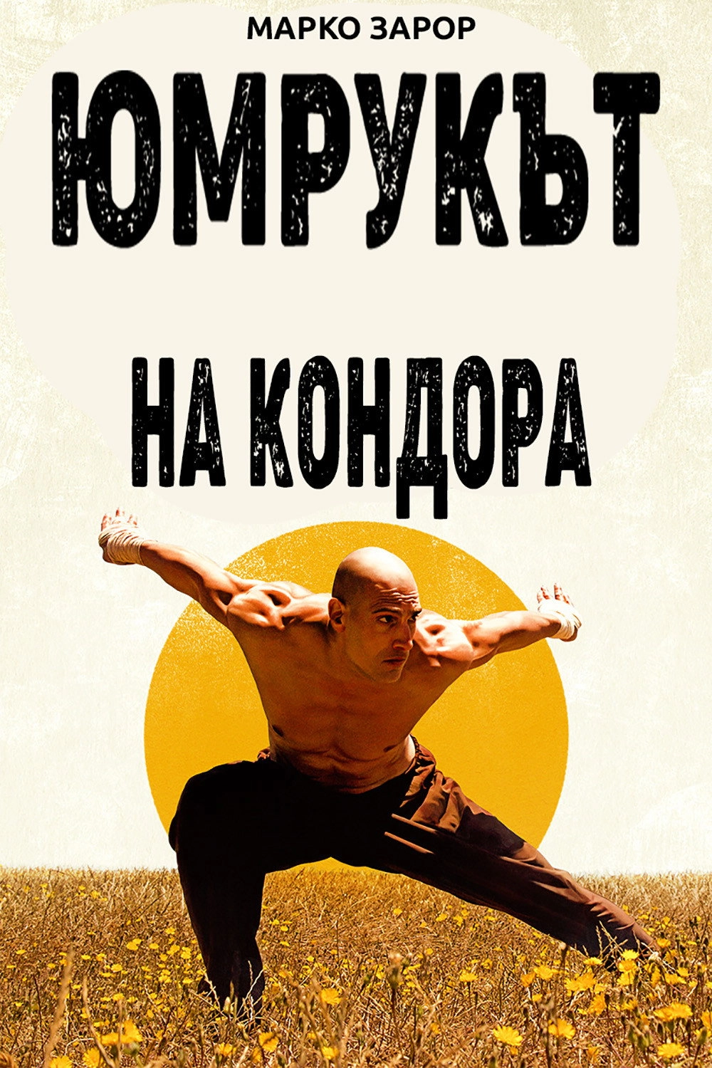 Fist of the Condor