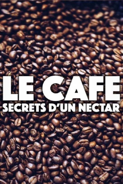 Kaffee - Geheimnisse eines Wundertranks