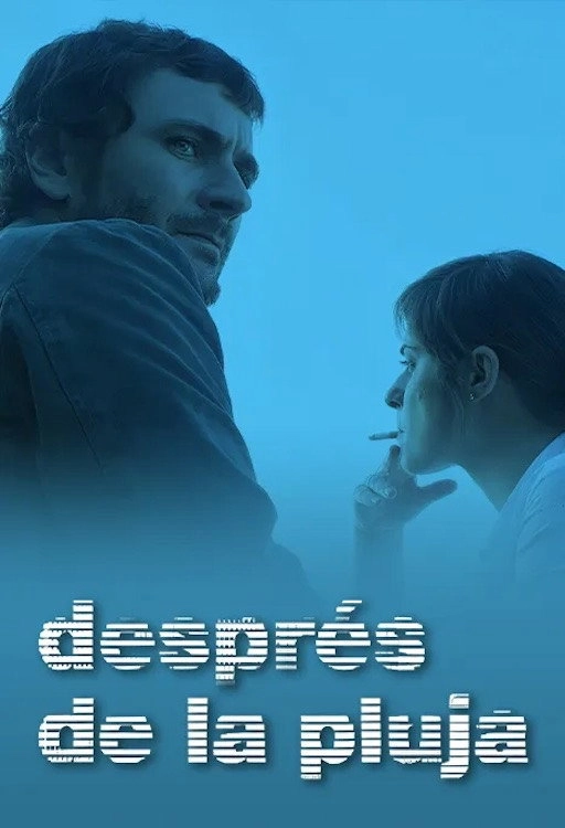 Després de la pluja