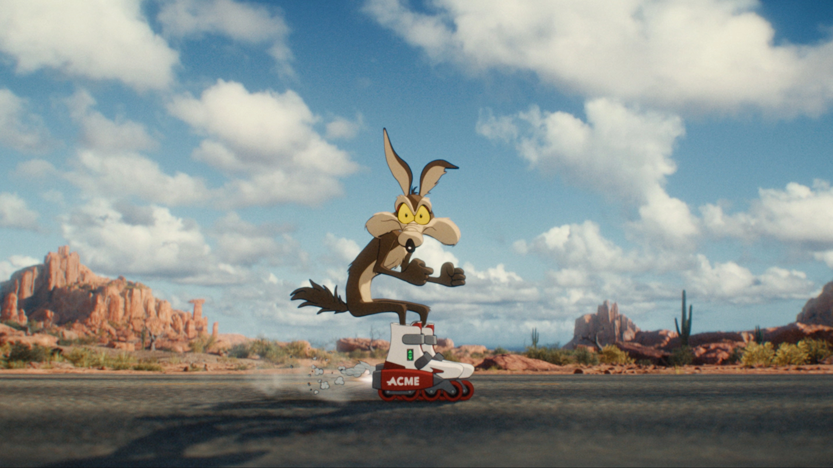 Coyote vs ACME