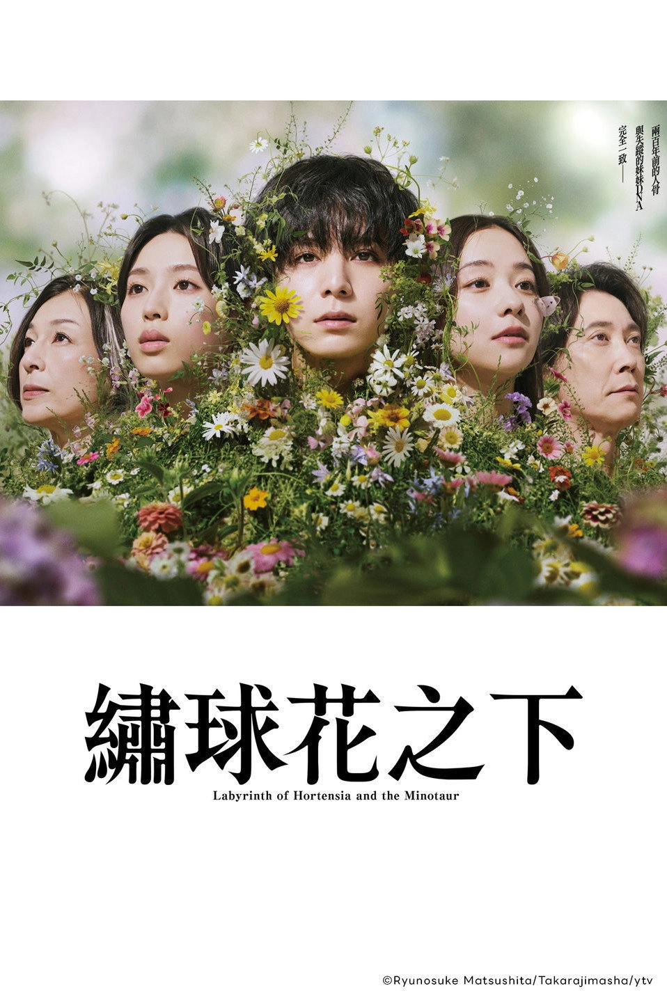Labyrinth of Hortensia and the Minotaur