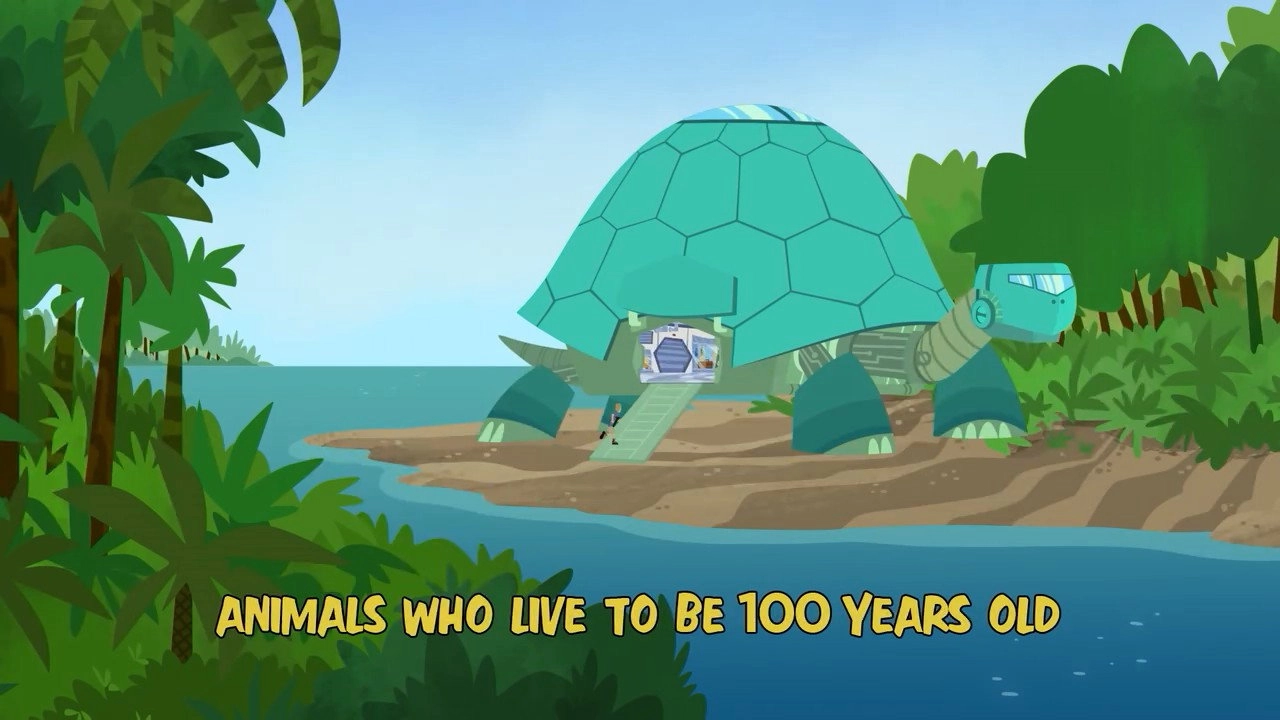 Wild Kratts