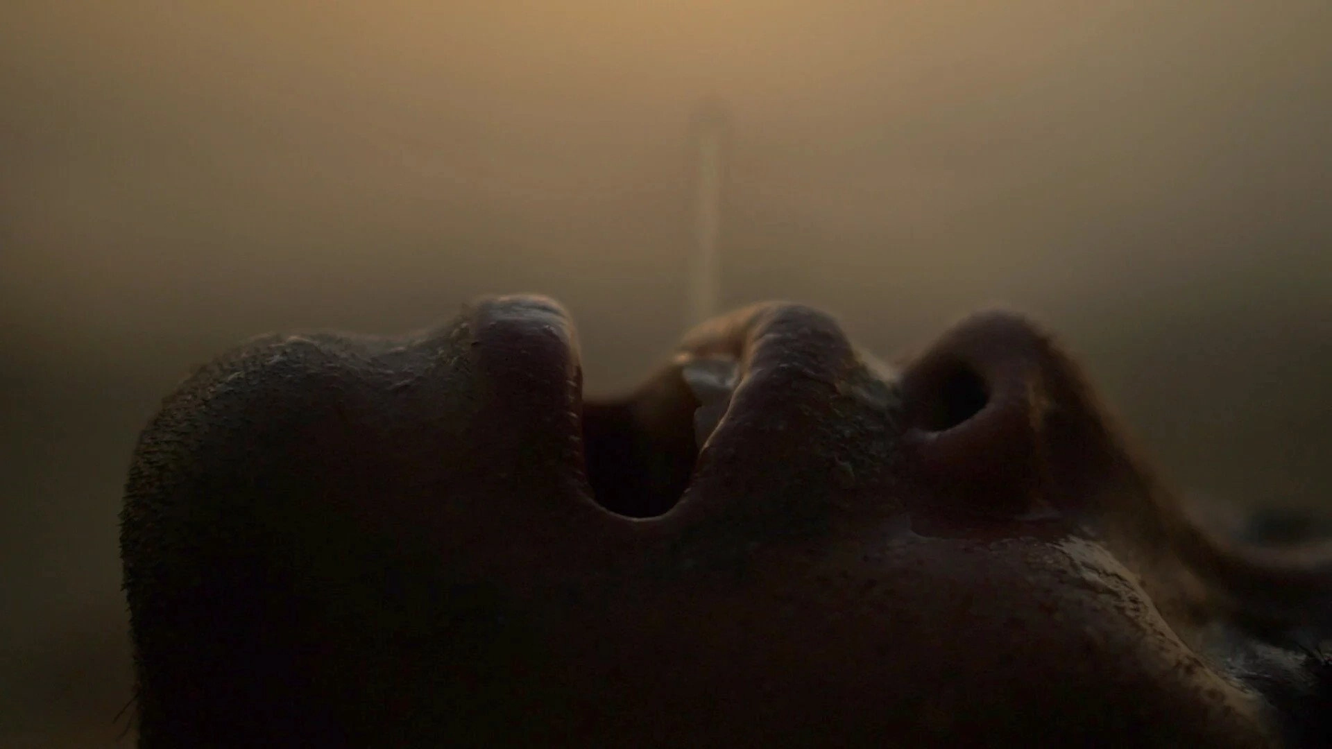 The Last Drop