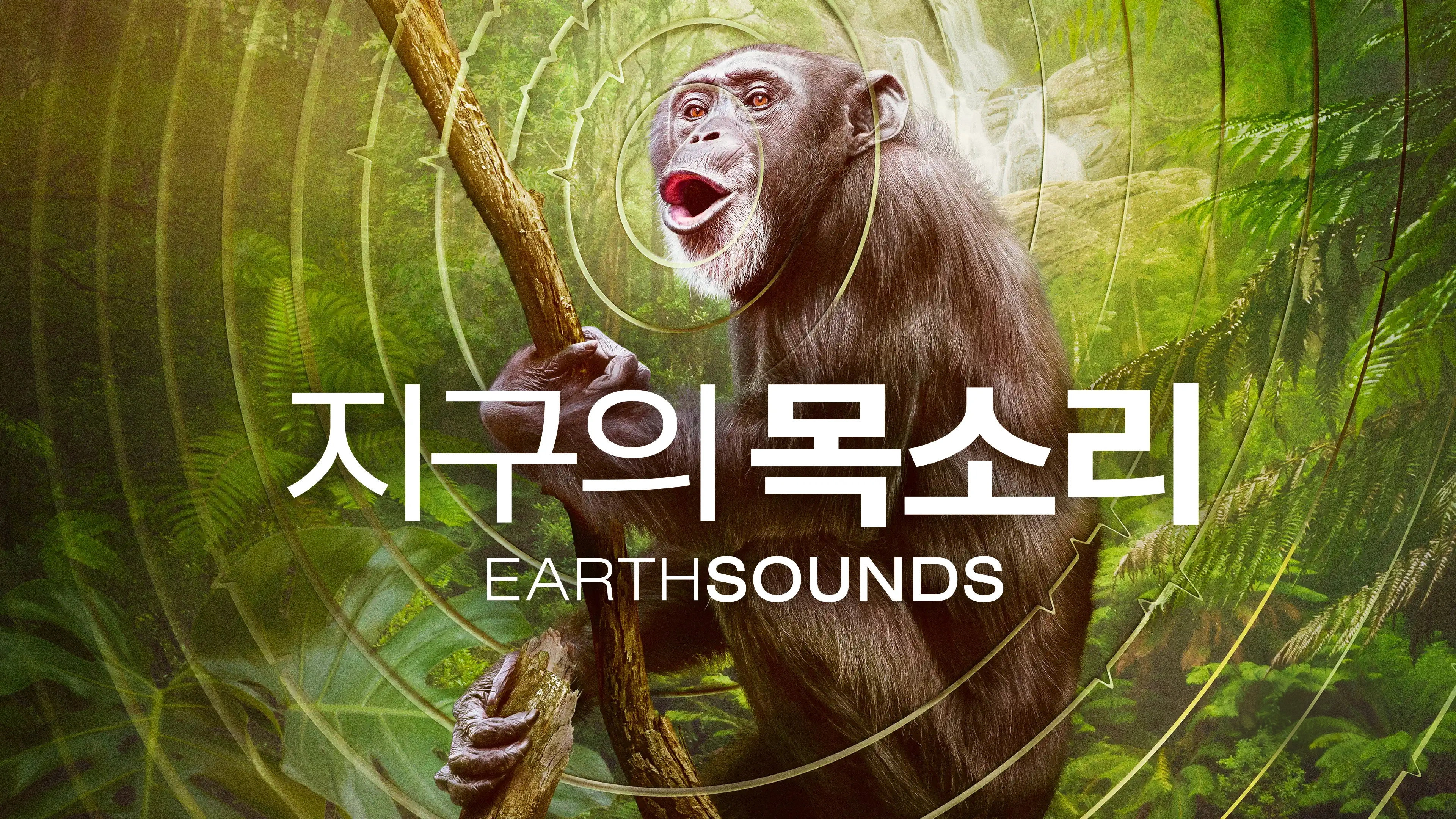 Earthsounds