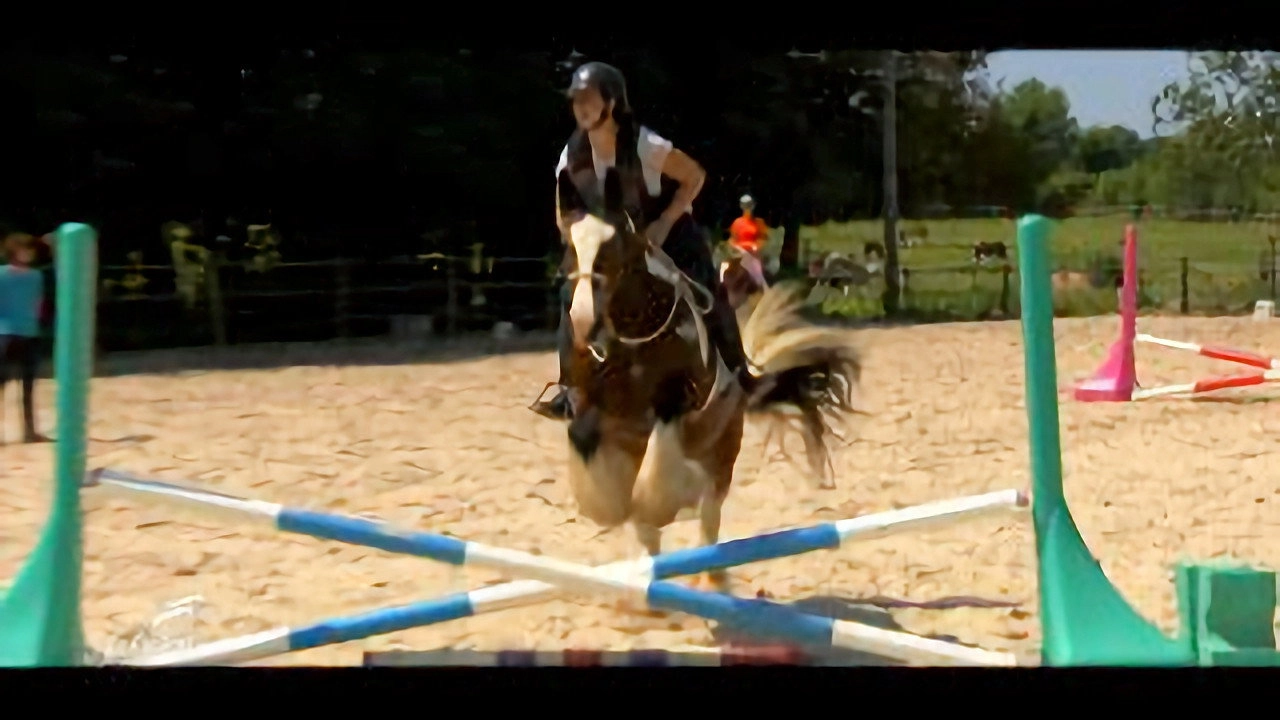 Au galop ! une saison à cheval