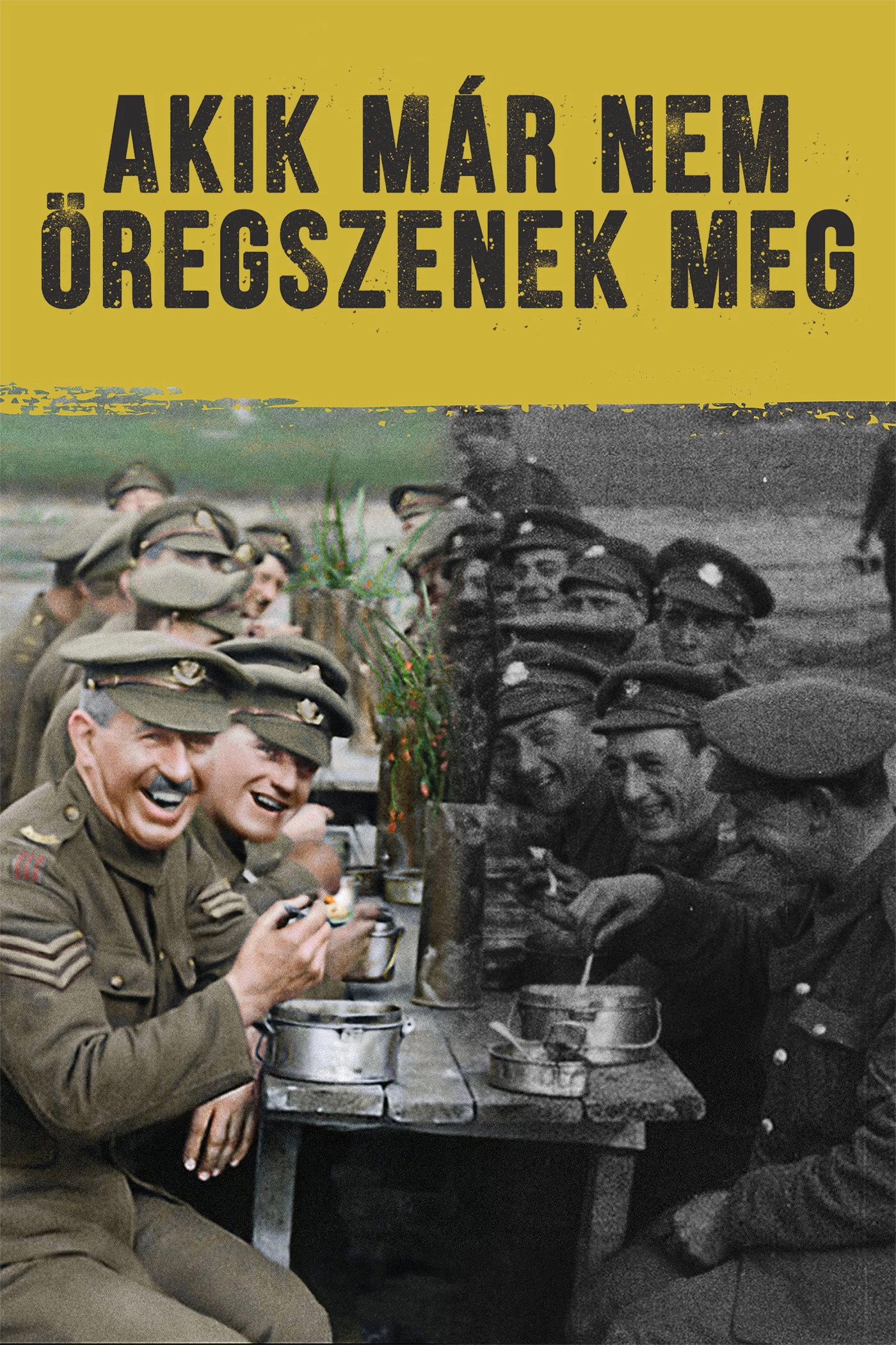 They Shall Not Grow Old