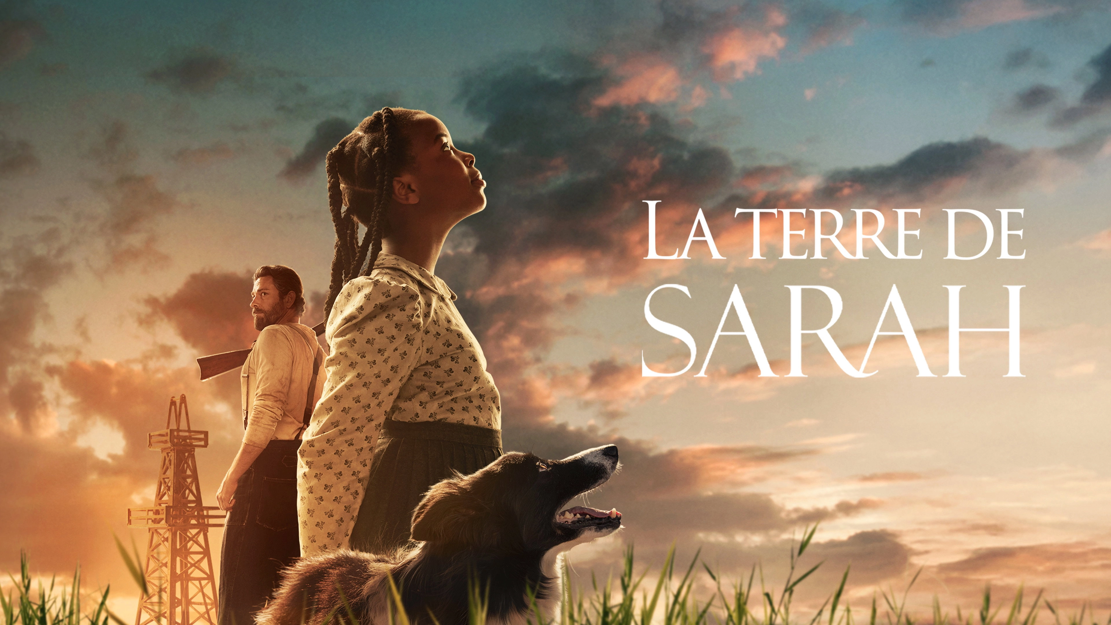 Sarah's Oil