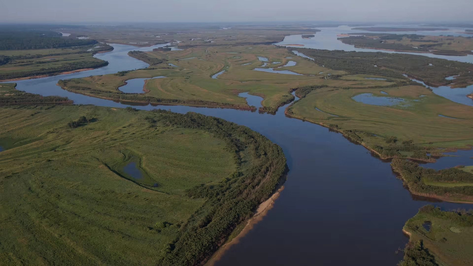 Amur: Asia's Amazon