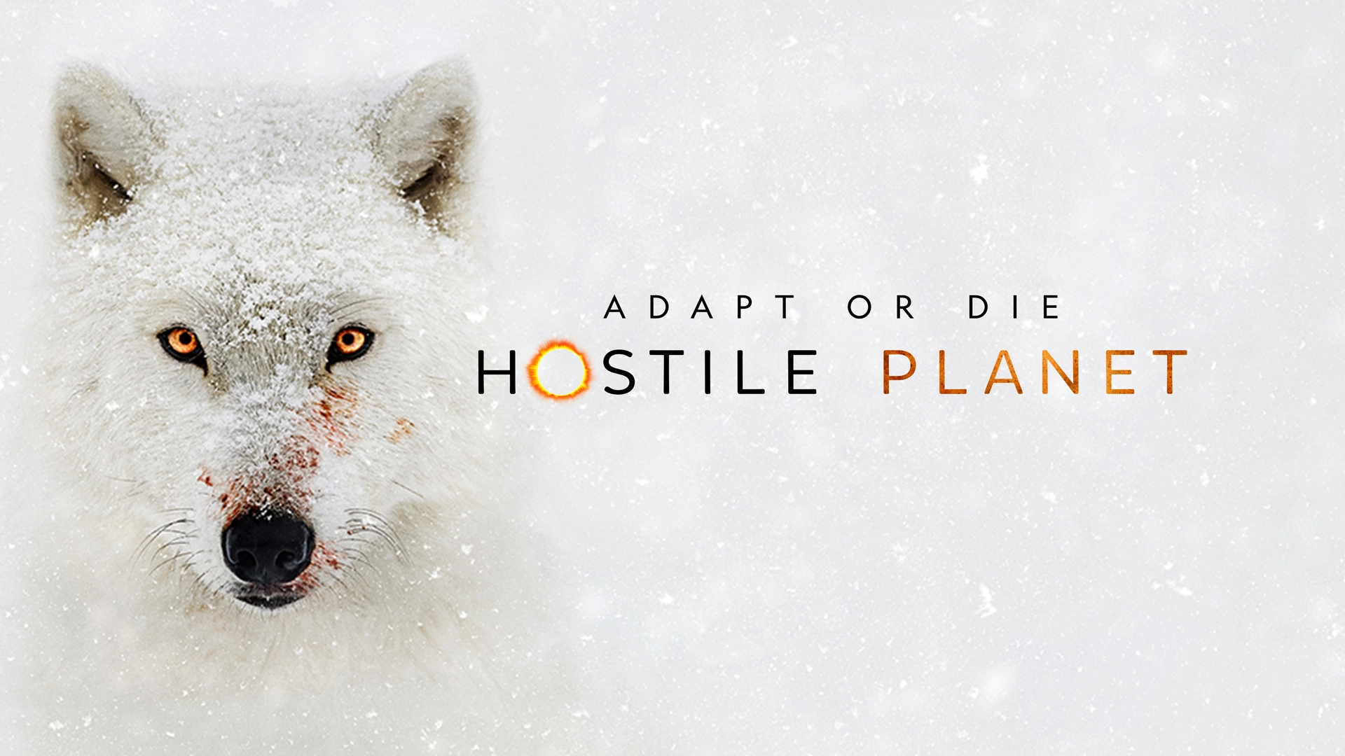 Hostile Planet