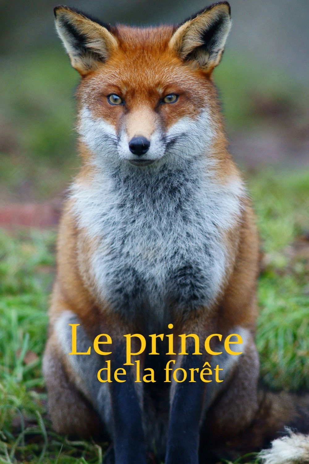 The Prince of the Forest
