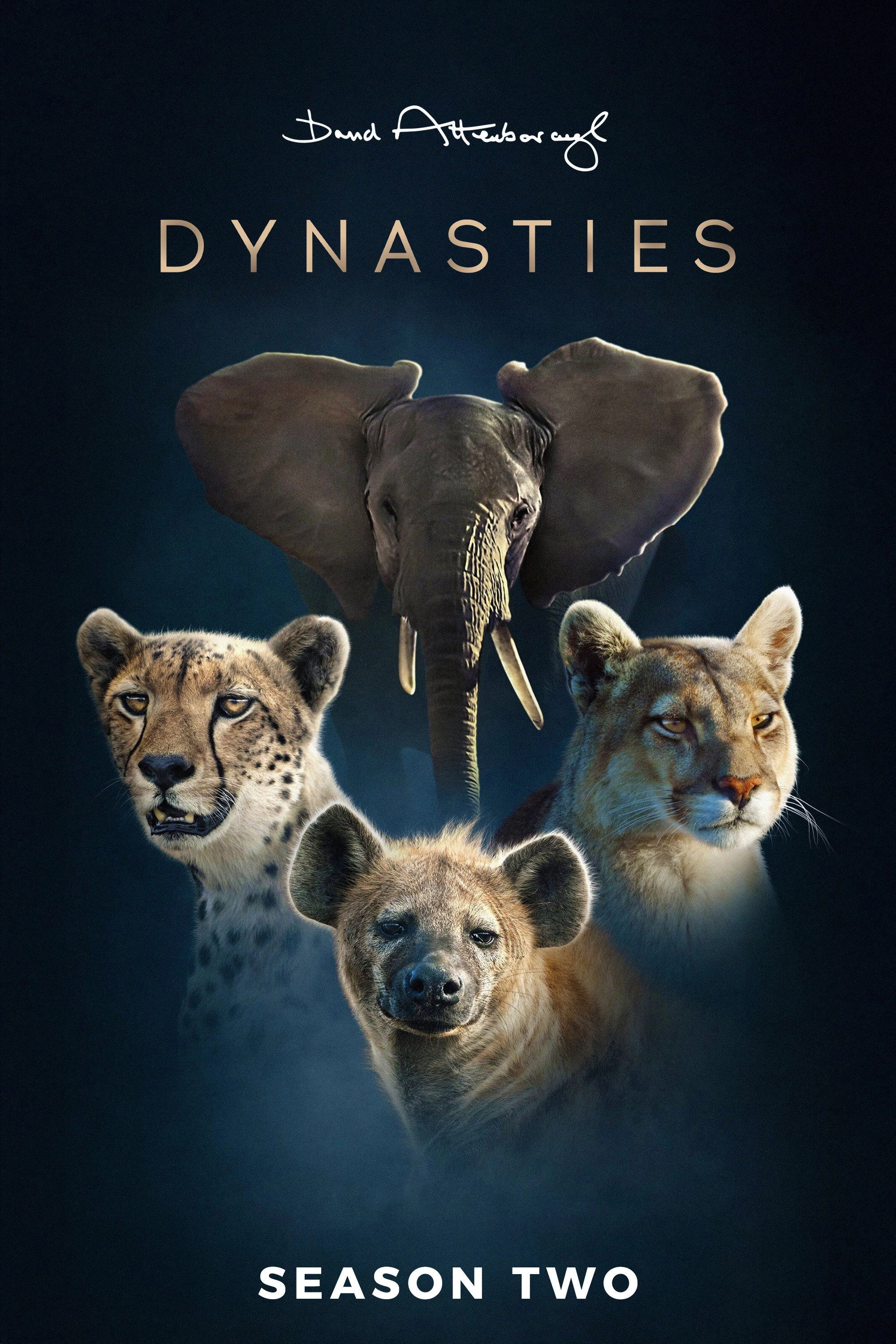 Dynasties