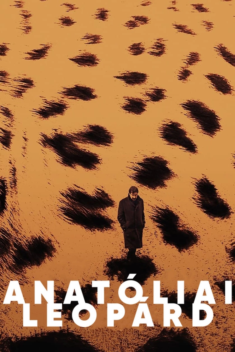Anatolian Leopard