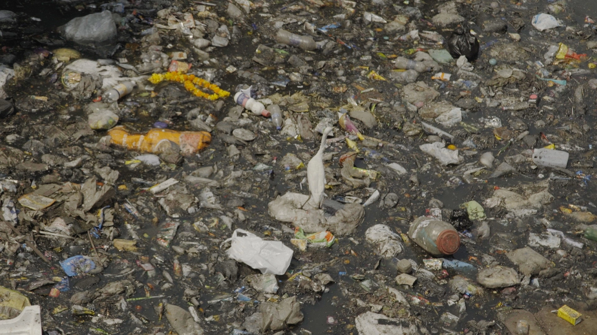 Garbage Ho!