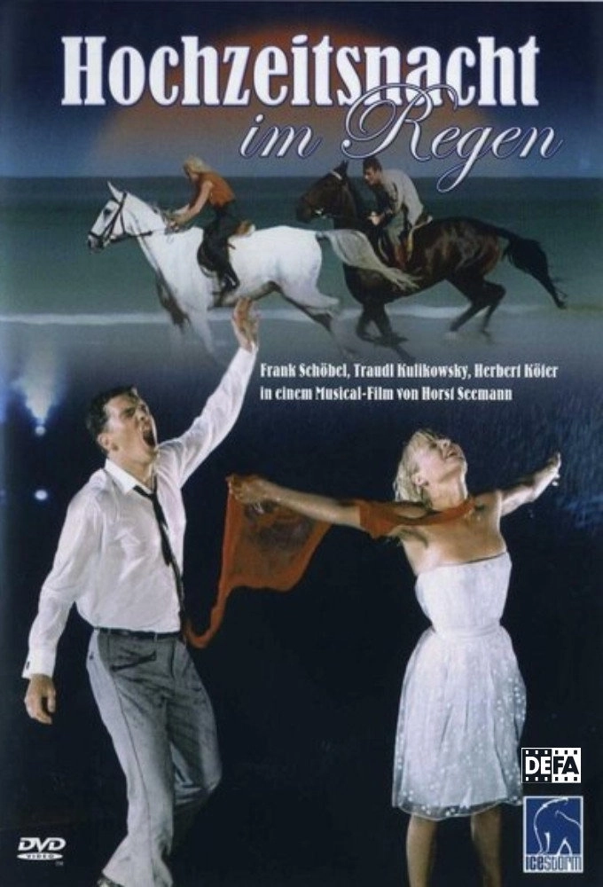 Wedding Night In The Drizzle