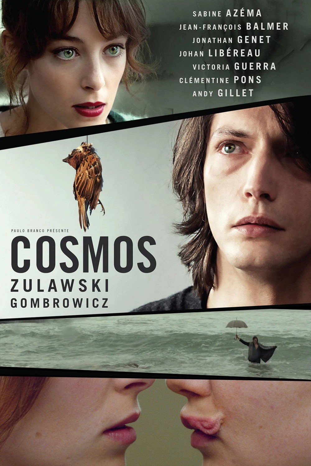 Cosmos