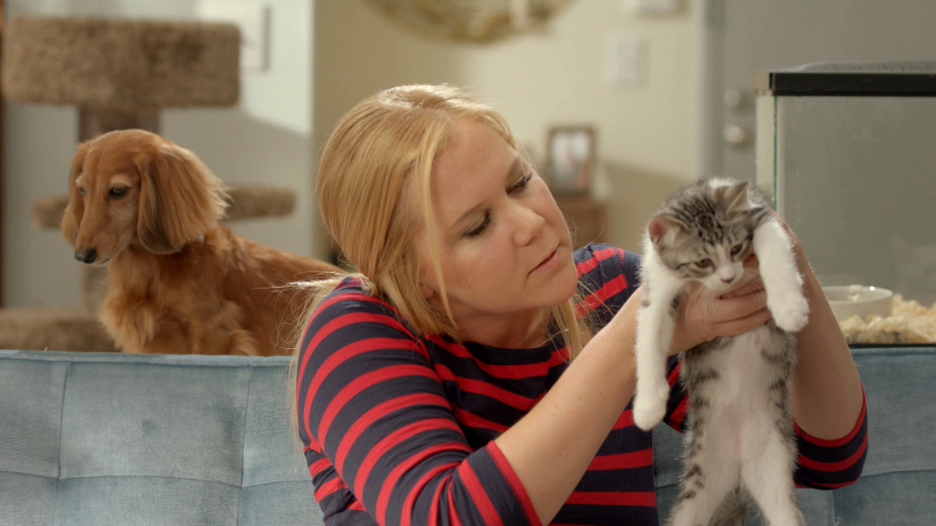 Inside Amy Schumer