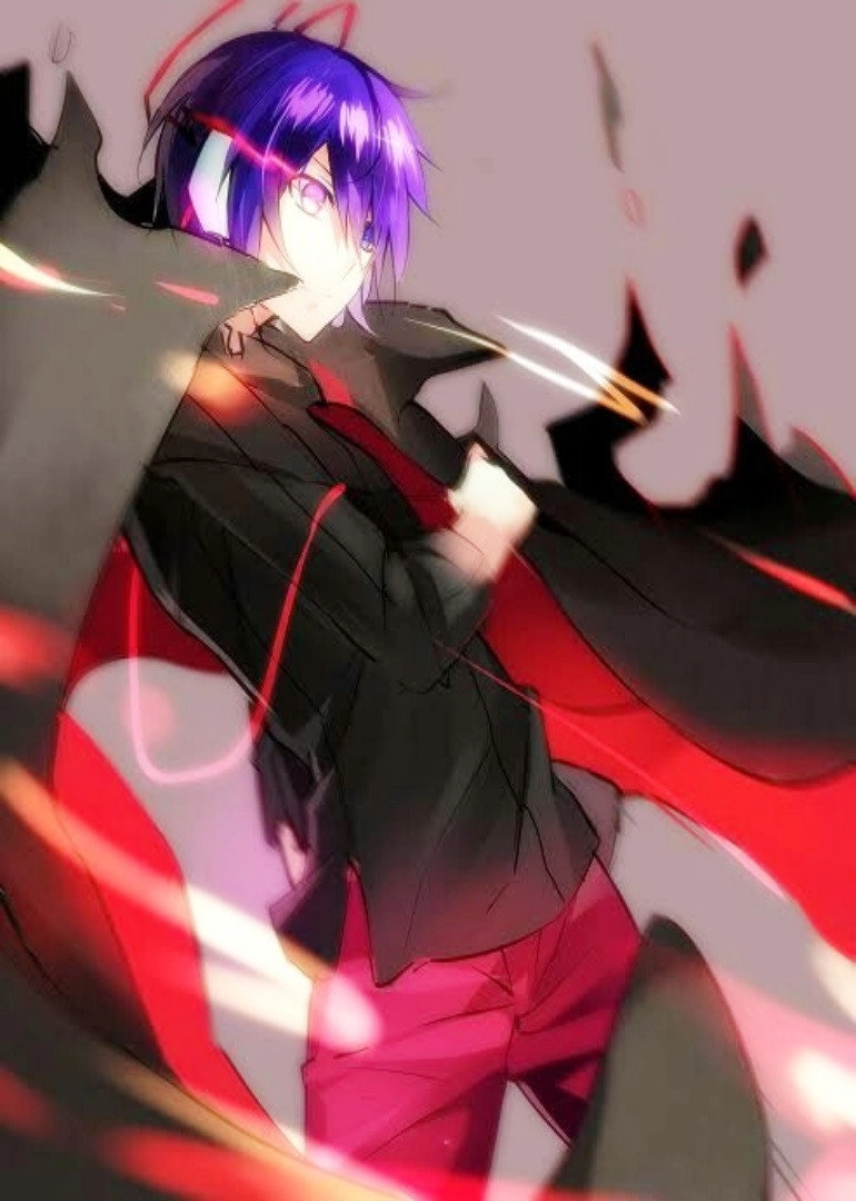 Devil Survivor 2: The Animation