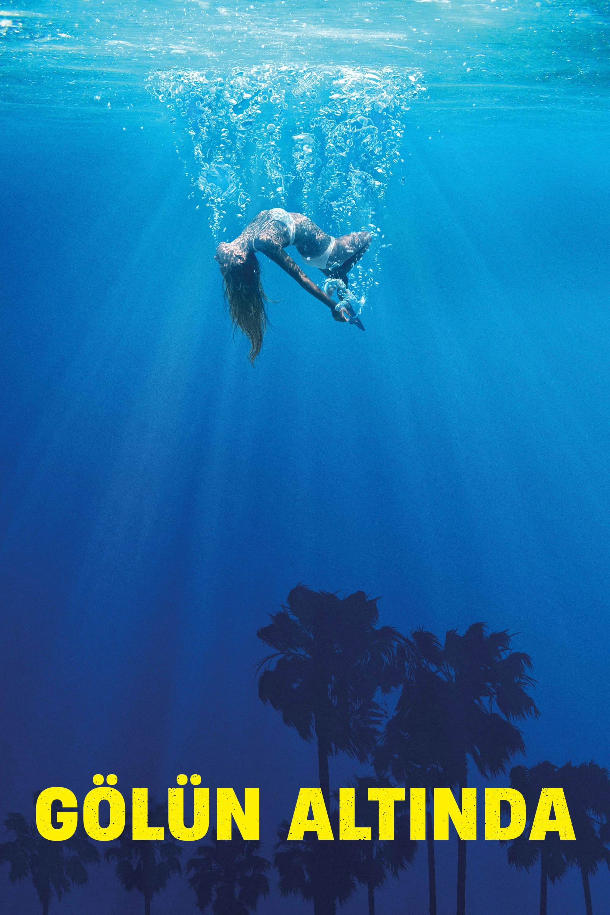 Under the Silver Lake