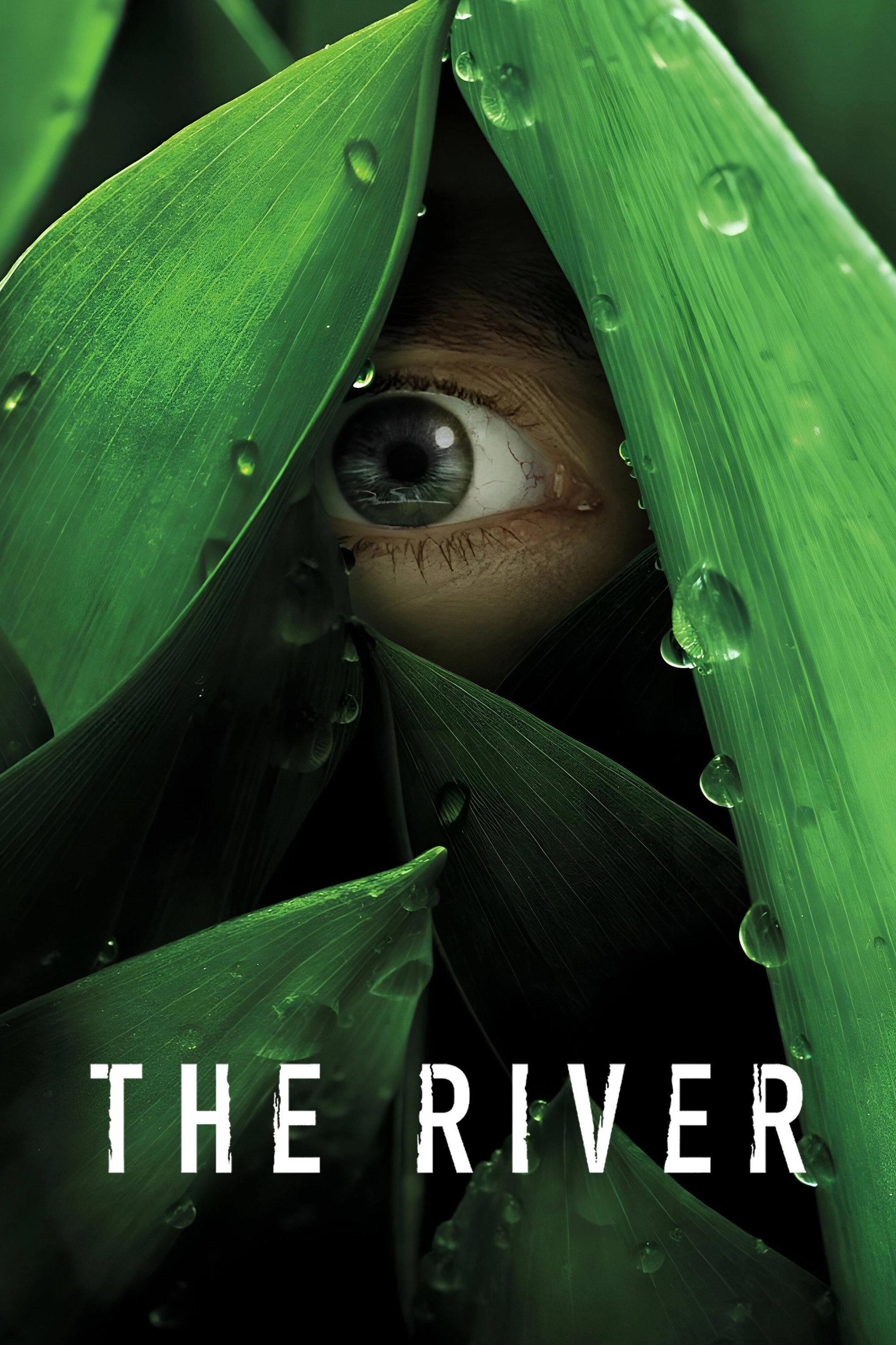 The River