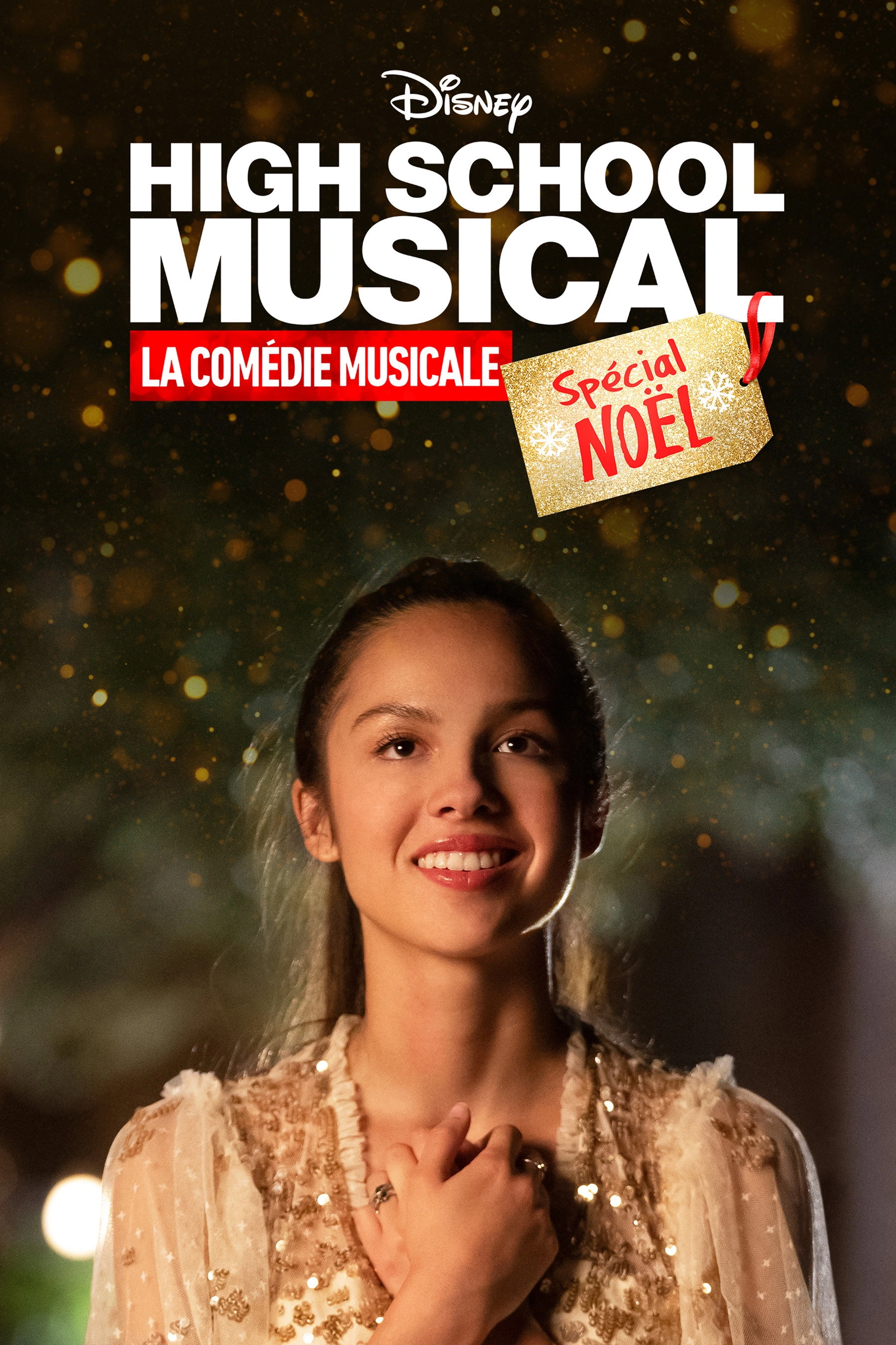High School Musical: The Musical: The Holiday Special