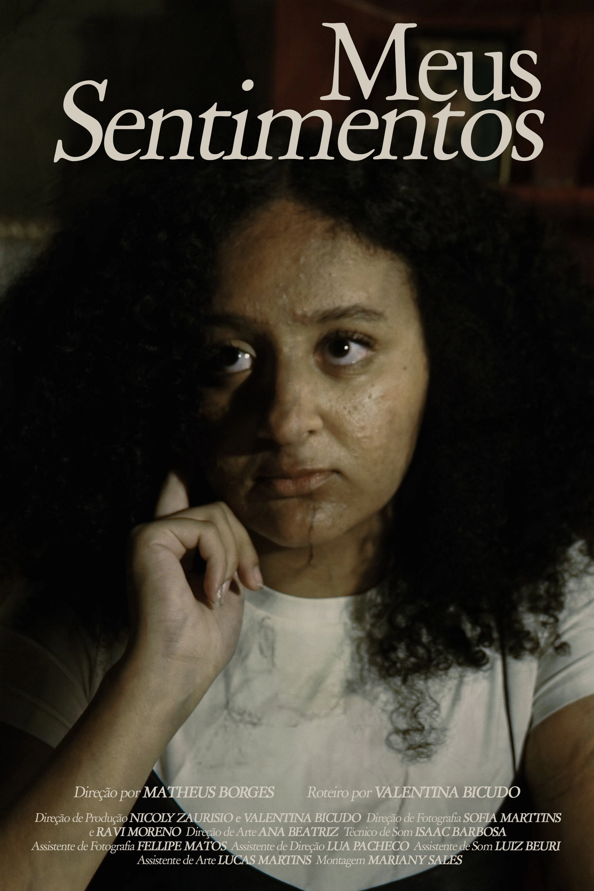 Meus Sentimentos