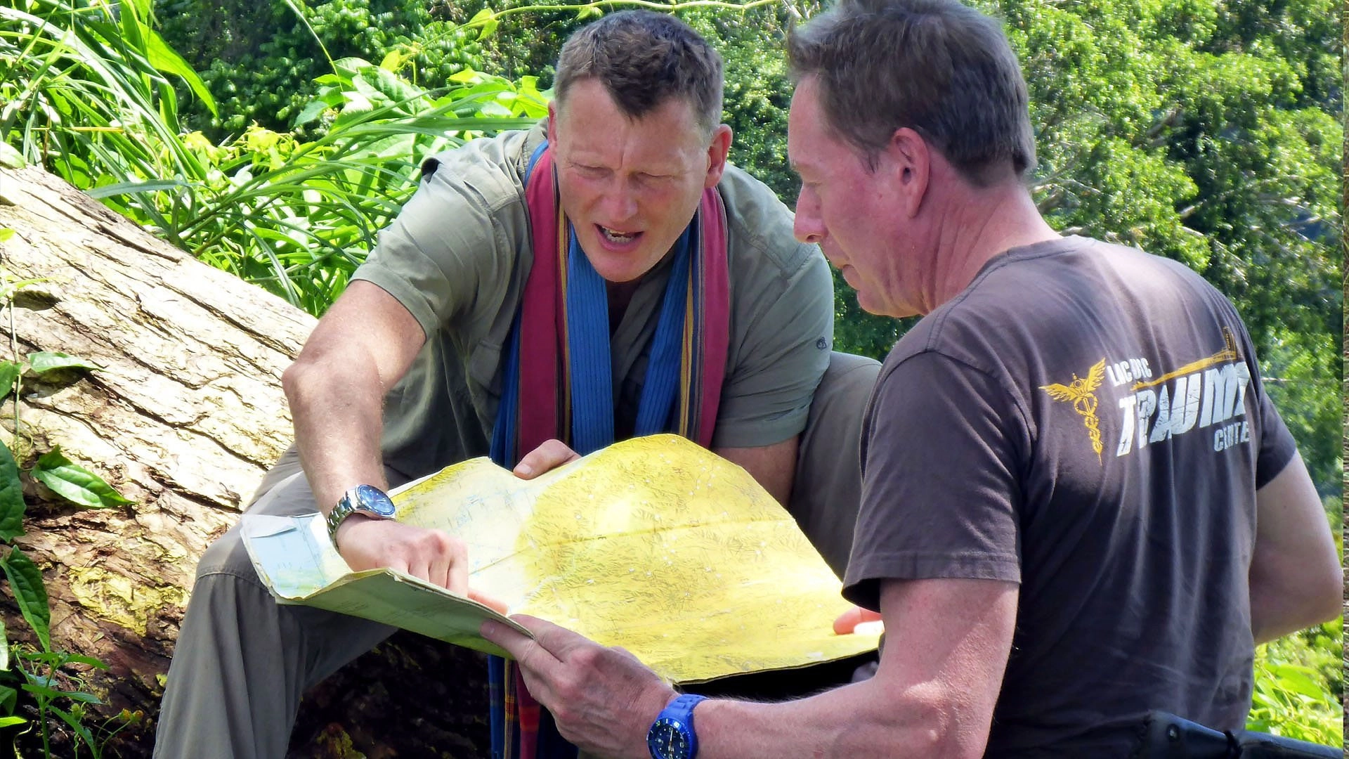 Birds of Paradise: The Ultimate Quest