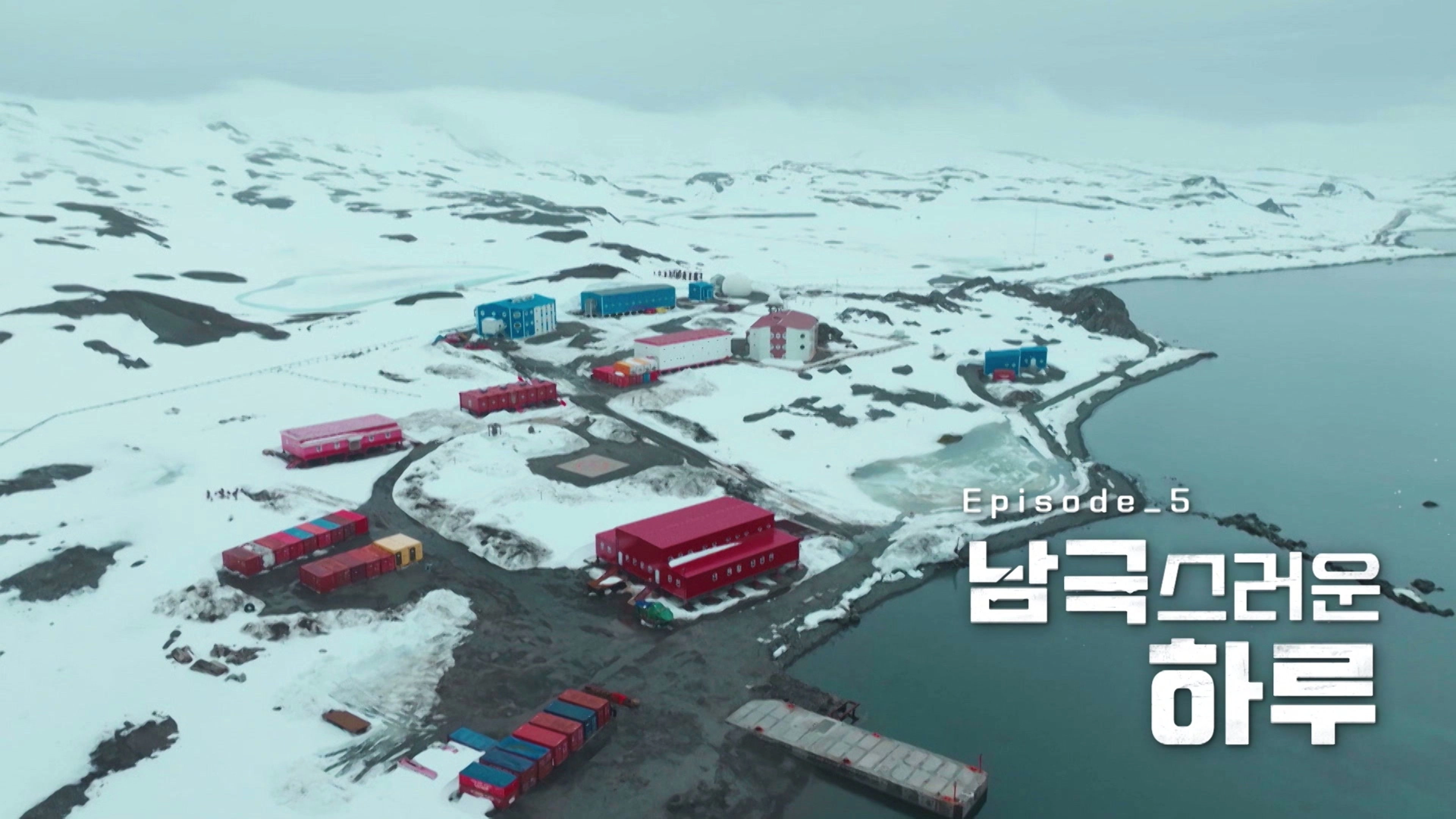 Chef of Antarctica