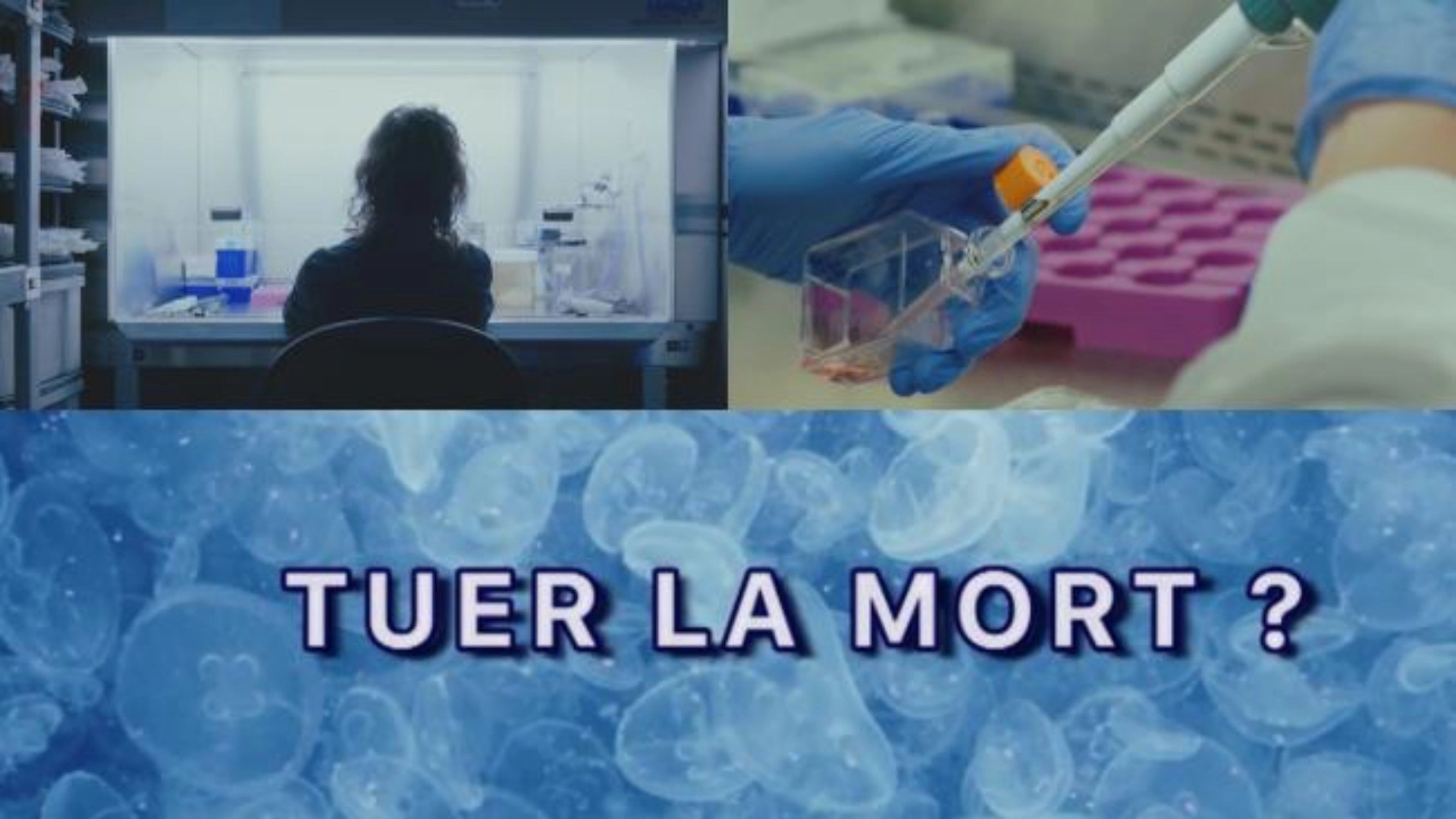 Tuer la mort ?