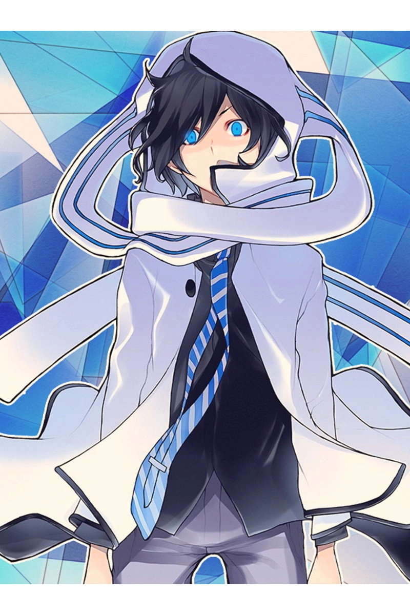 Devil Survivor 2: The Animation