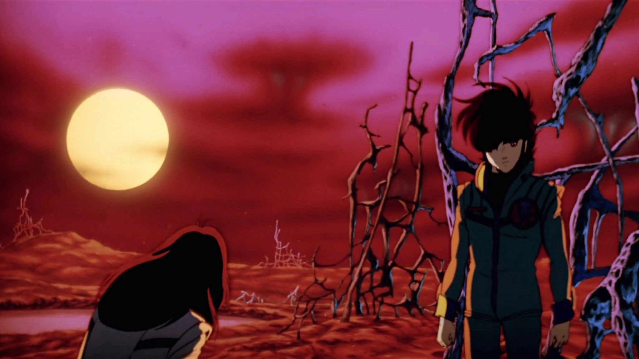 Macross: Do You Remember Love?
