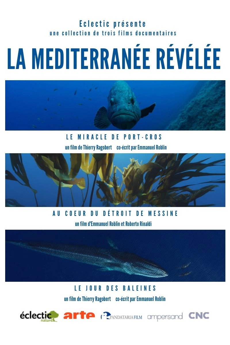 La Méditerranée révélée