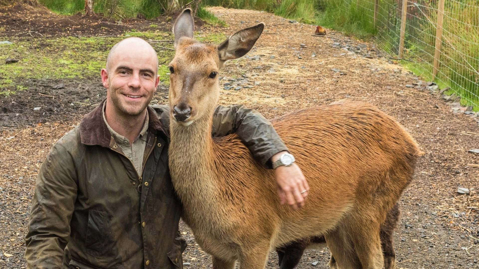 Return of the Wild: The Bearman of Buncrana