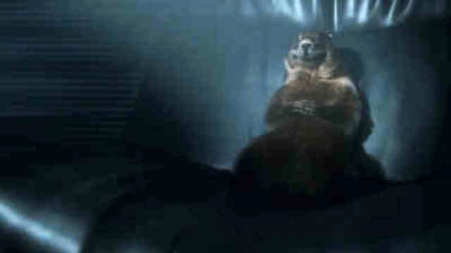 Les Marmottes