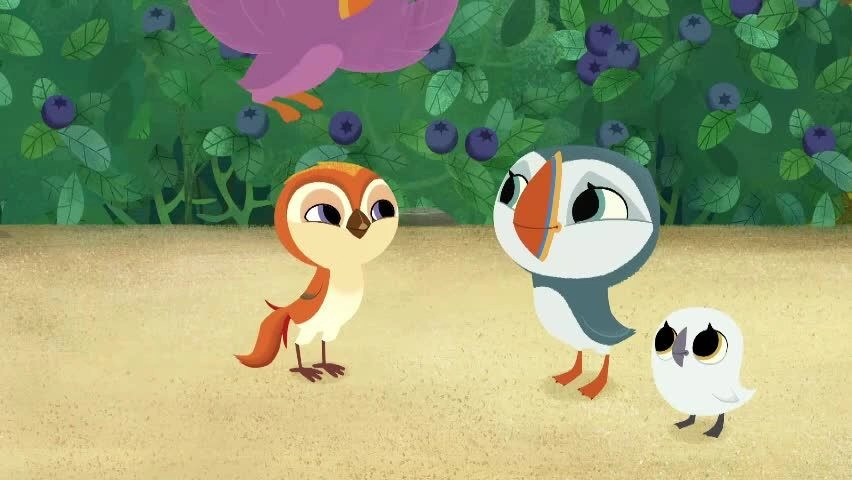 Puffin Rock