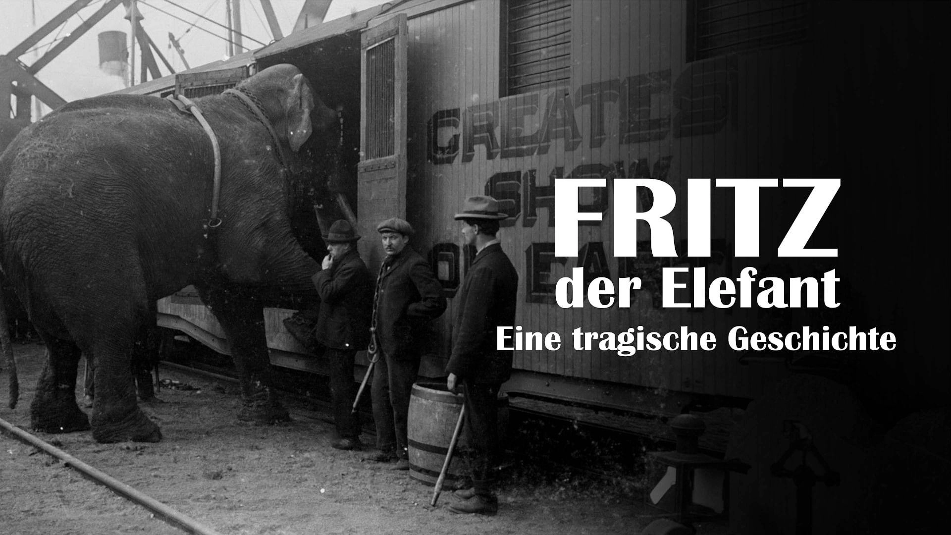The Tragic Story of Fritz the Elephant