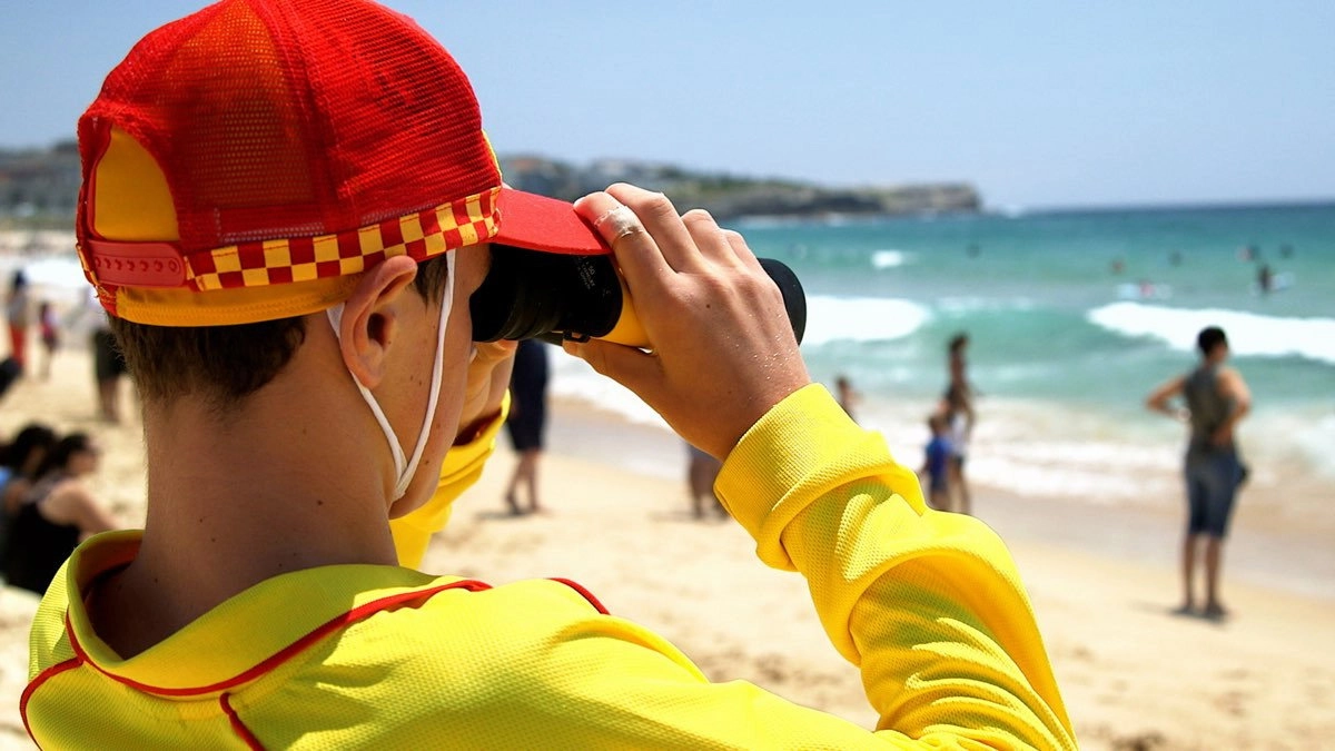 Nippers