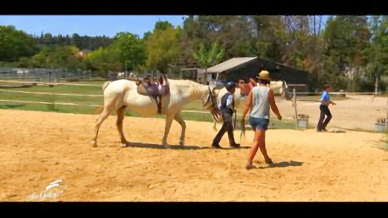 Au galop ! une saison à cheval