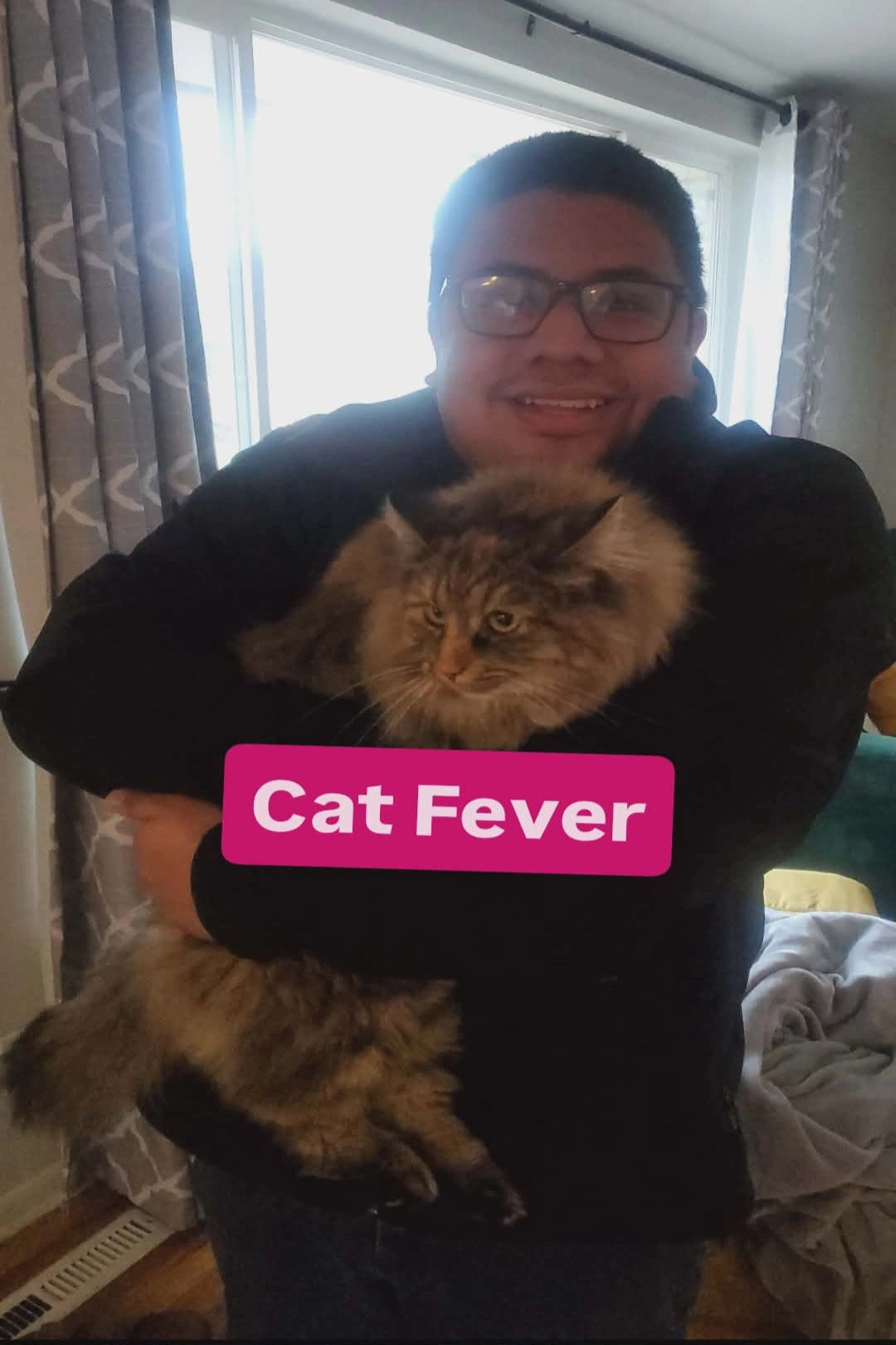 Cat Fever