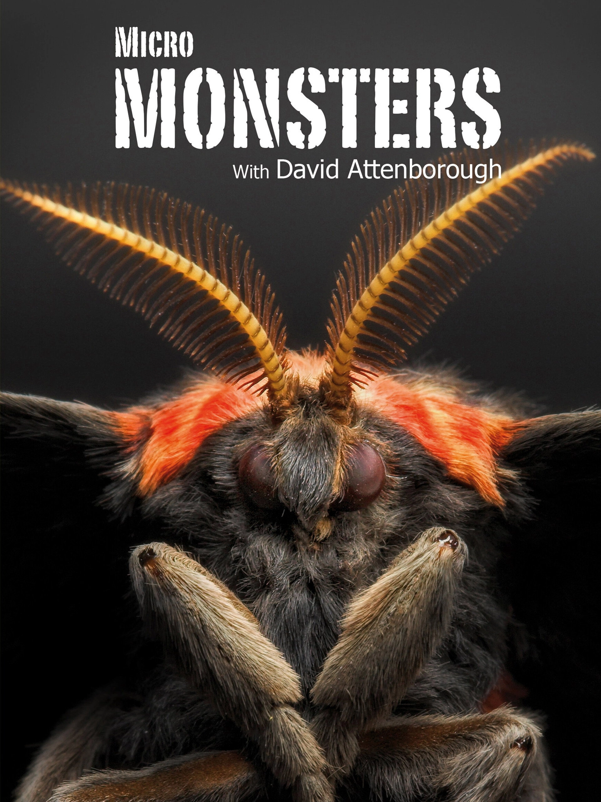 Micro Monsters with David Attenborough