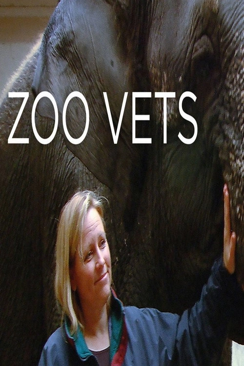 Zoo Vets