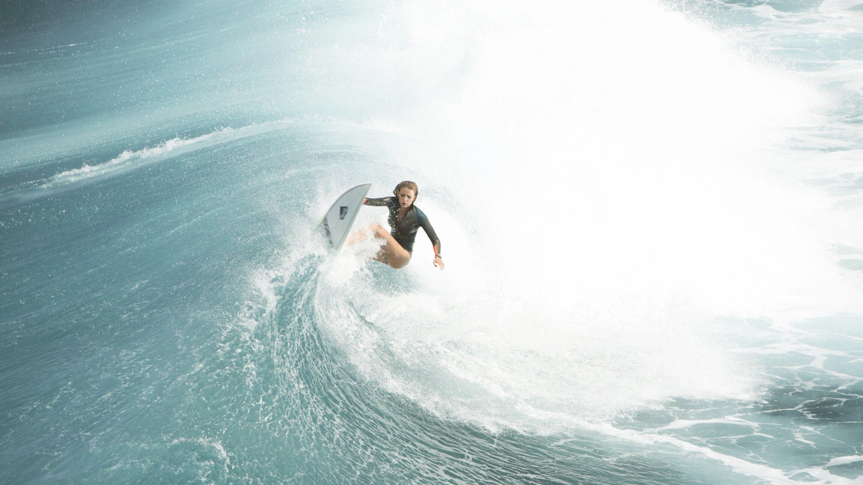 The Shallows