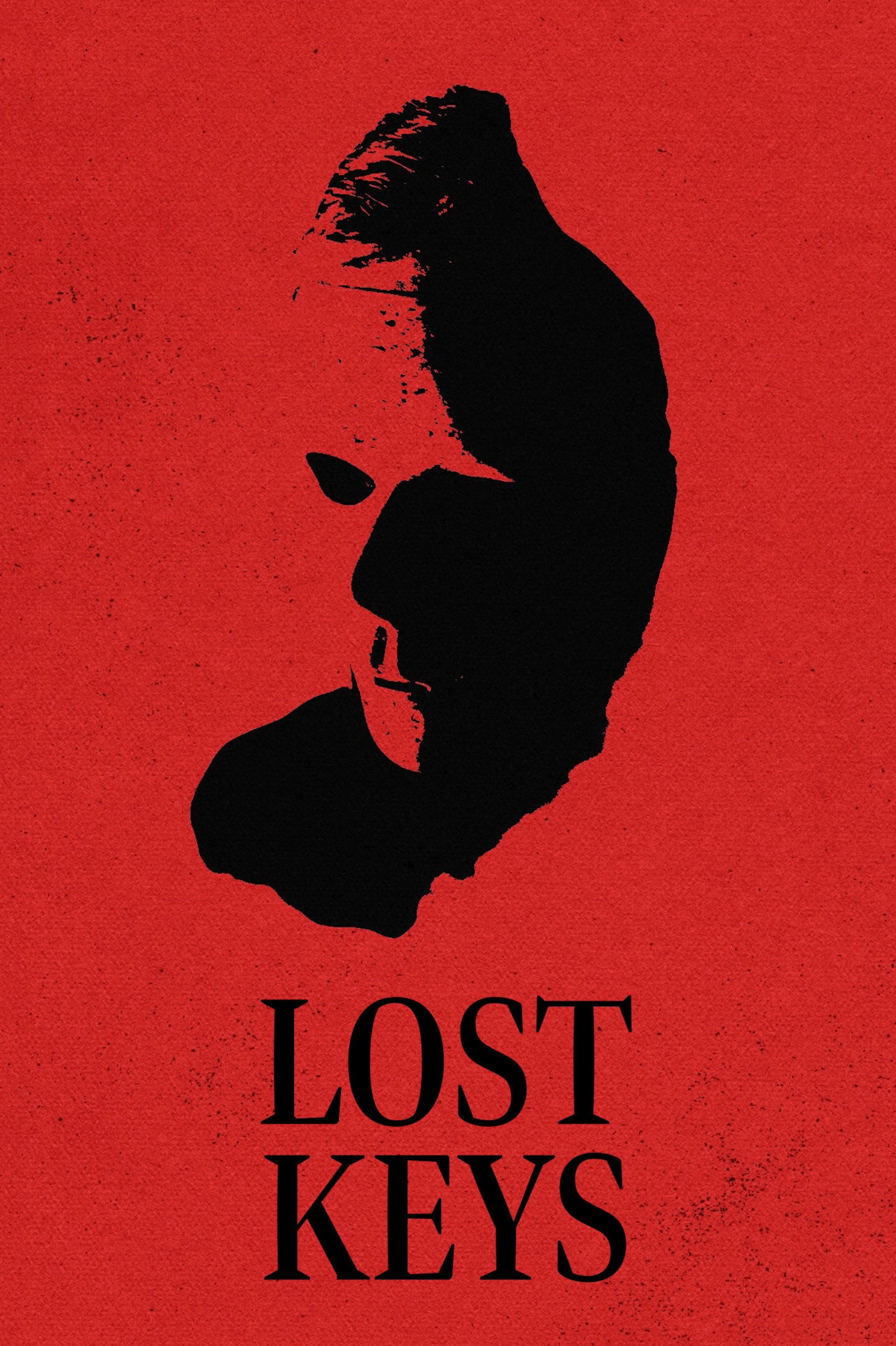 Lost Keys