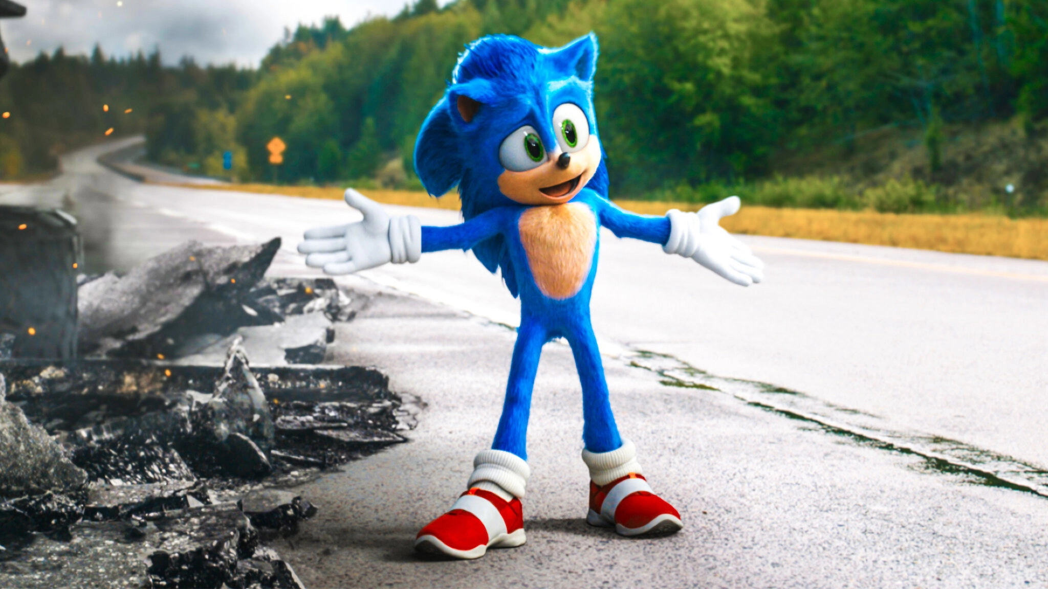 Sonic the Hedgehog