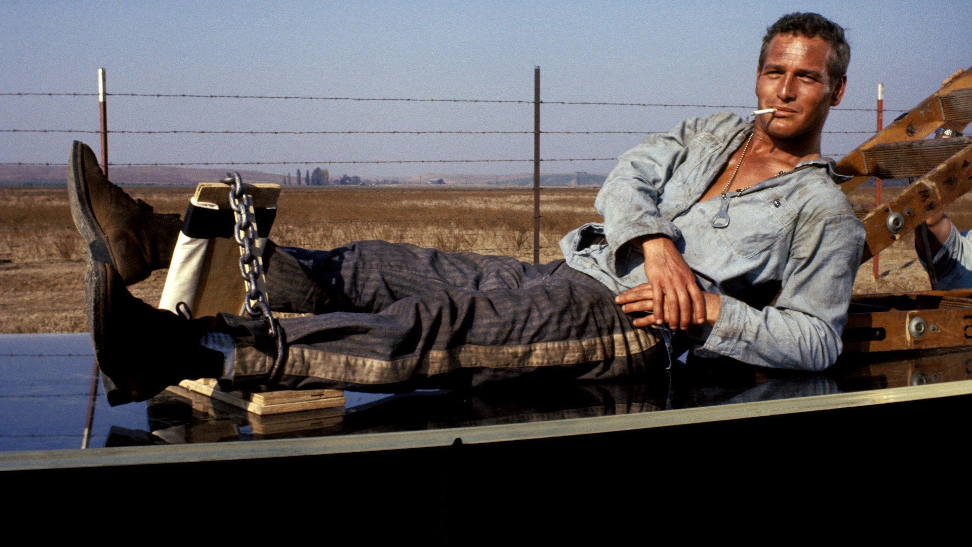 Cool Hand Luke