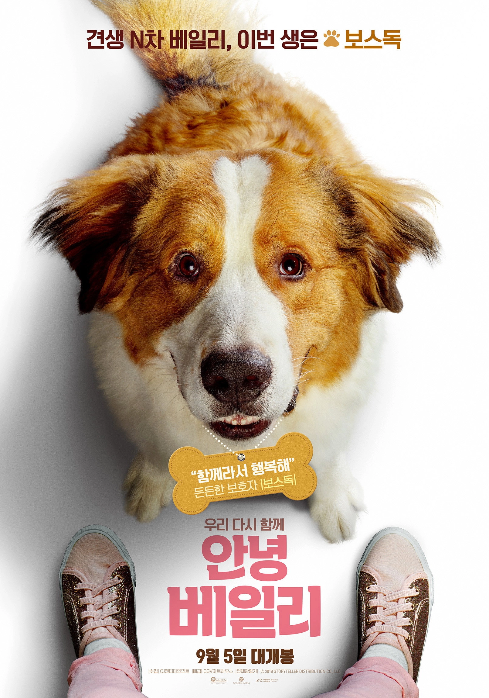 A Dog's Journey