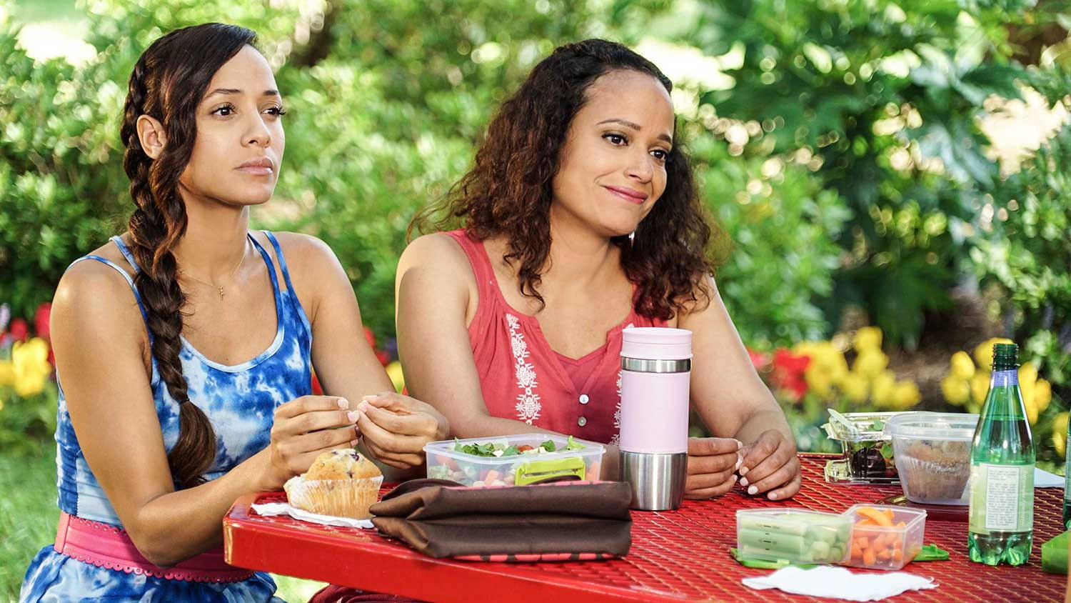 Devious Maids