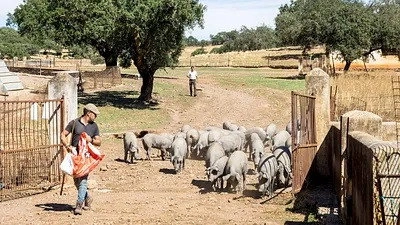 Abenteuer Spanien