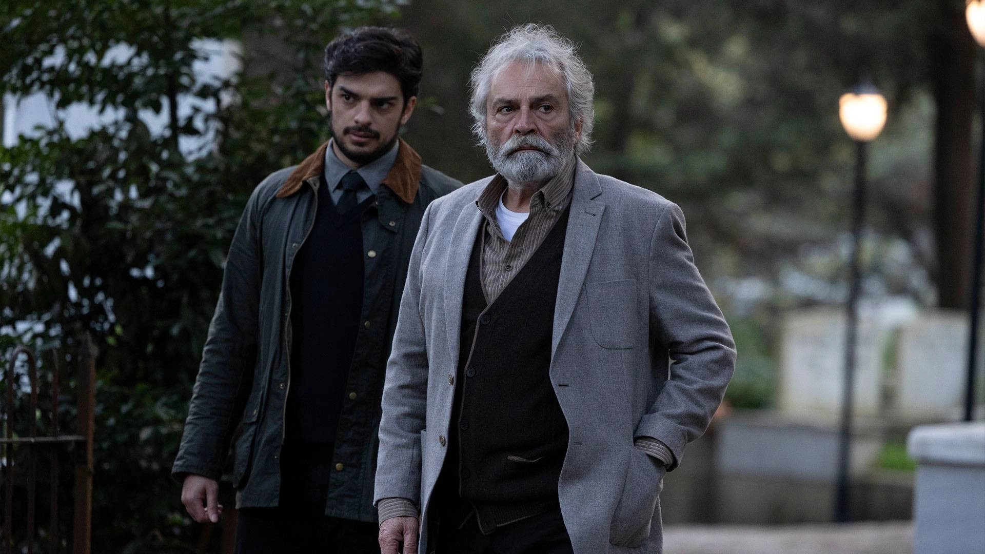 The Turkish Detective