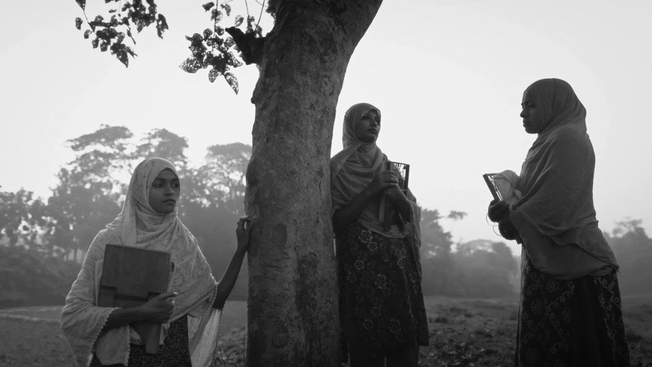 The Blind Girl and an Elephant