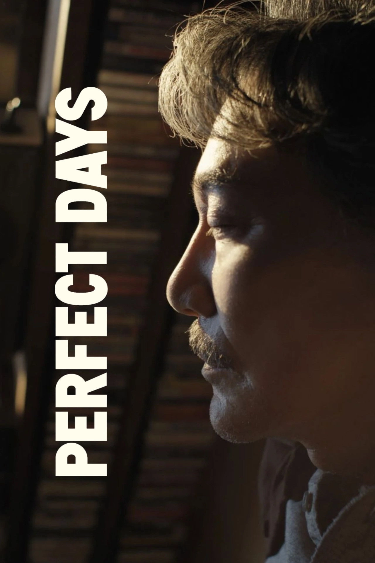 Perfect Days